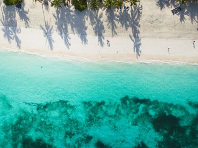 pexels-dajana-reci-289671698-30125144