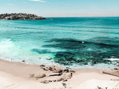 pexels-vince-2265846